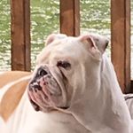 Sheila Atkinson - @sheilaann1952 - Instagram