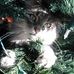 Sheila Atkinson - Facebook