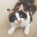 Sheila Bancroft - @bancroftsheila - Instagram