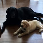 Sheila Barthel - @seb80238 - Instagram