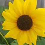 Sheila Baumgartner - @sheilabaumgartner6 - Instagram