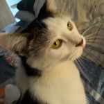 Sheila Bean - @sheilabean60 - Instagram