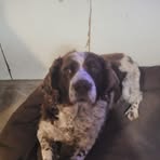 Sheila Beaudoin - Facebook