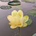 Sheila Bender - Facebook
