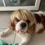 Sheila Bienati - @sheilabienati - Instagram