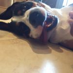 Sheila L. Bingham - @shbing1 - Instagram