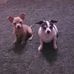 Shelia Blackmon - Facebook