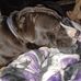 Sheila Becker - Facebook