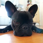 Sheila Bloom - @bloomsh - Instagram