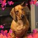 Sheila Boardman Hajduk - Facebook