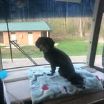 Sheila Boland - @bolandsheila25 - Instagram