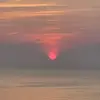 sheilabottsedward - @sheilabottsedward - TikTok