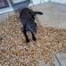 Sheila Bounds - Facebook