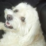 @sheila_bourque57 - Instagram