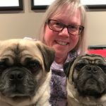 Sheila Bourque - @bourque3446 - Instagram