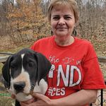 Sheila Bourque - @vagodip855 - Instagram