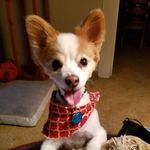 Sheila Bowers - @sheila.bowers.927 - Instagram