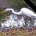 Sheila Bowman - Facebook