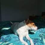 Sheila Brady - @sheila.brady.1048 - Instagram
