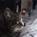 Sheila Bragg - Facebook