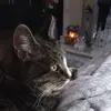 Sheila Bragg - @sheila.bragg4 - TikTok