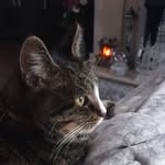 Sheila Bragg - @sbragg692 - Instagram