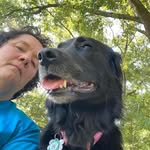 Sheila Branch - @sheilabranch203 - Instagram