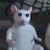 sheilabravo31 - @sheilabravo31 - TikTok