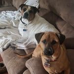 Sheila Briggs-Biggs - @sheila.biggs2 - Instagram