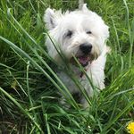 Sheila Buck - @sheilabuck6070 - Instagram