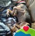 Sheila Burke - Facebook