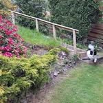 Sheila Burroughs - @sheila_burroughs - Instagram