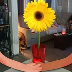 Sheila Burrows - @sheila1972burrows - Instagram