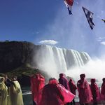 Sheila Burrows - @burrows5118 - Instagram
