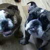 sheilachen25 - @sheilachen25 - TikTok