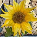 Sheila Cheney Clements - @sheila.mom - Instagram