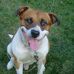 Sheila Tyler Cheney - Facebook