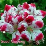 Sheila Chouhan - @sheila.chouhan.7 - Instagram