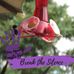 Sheila Comerford-Teeple - Facebook