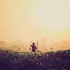 sheilacopeland5 - @sheilacopeland5 - TikTok