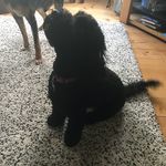 Sheila Cotton - @scotton1955 - Instagram