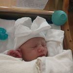 Sheila Harney Coy - @scoy108 - Instagram