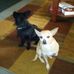 Sheila Creech - Facebook