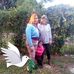 Sheila Crews - Facebook