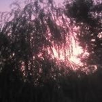 Sheila Cronin Furness - @croninfurness - Instagram
