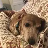 Sheila Crowder - @sheila.crowder - TikTok