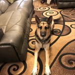 Sheila Dailey Owens - @sheilaowens6178 - Instagram