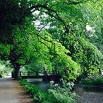 Sheila Daly - @sheeba835 - Instagram