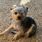 Sheila Carrere Darnell - @sfdarnell - Instagram