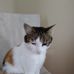 Sheila Davison - Facebook